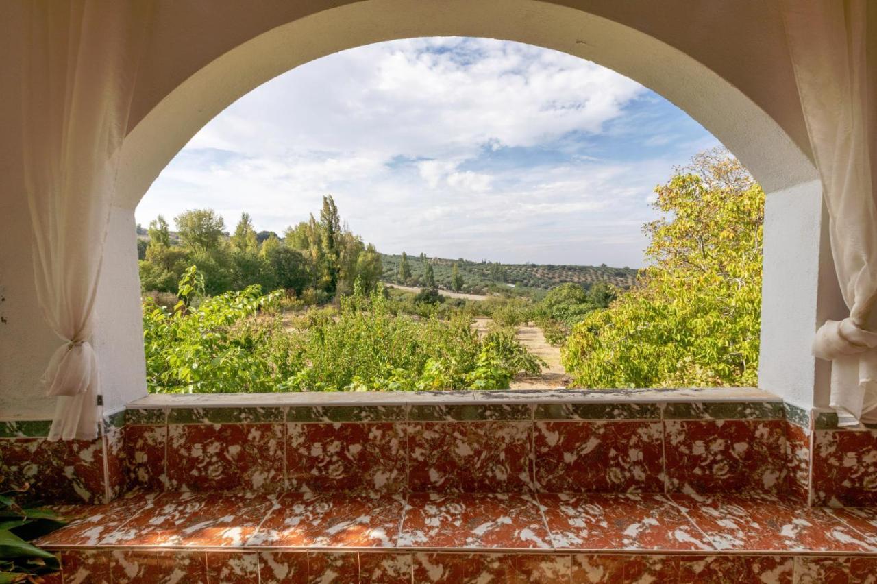 Casa Jurinea Alzar Villa Torres  Eksteriør bilde