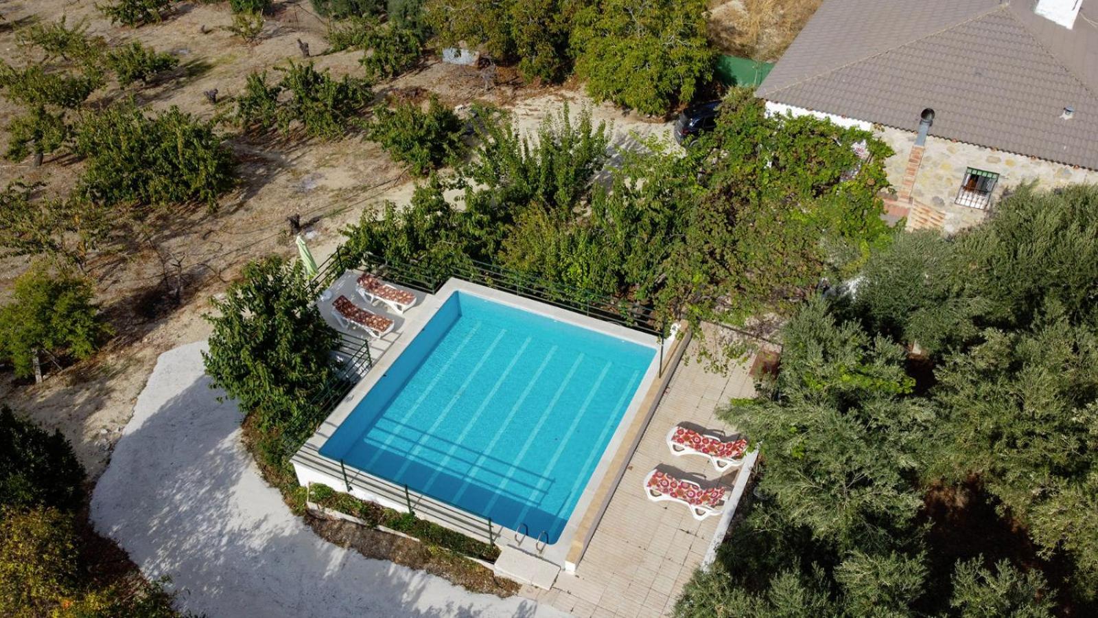 Casa Jurinea Alzar Villa Torres  Eksteriør bilde